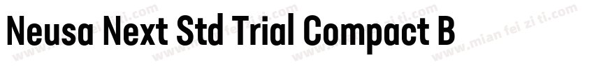 Neusa Next Std Trial Compact Bold字体转换